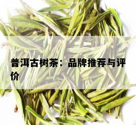 普洱古树茶：品牌推荐与评价