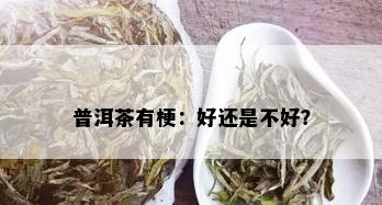 普洱茶有梗：好还是不好？