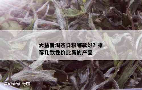 大益普洱茶口粮哪款好？推荐几款性价比高的产品