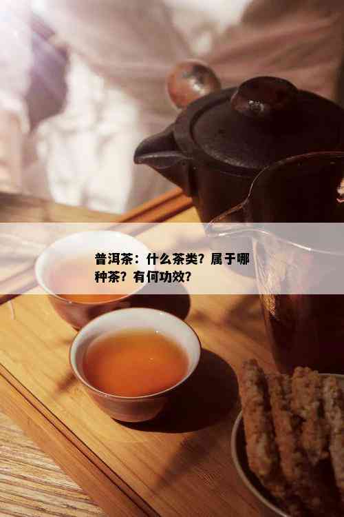 普洱茶：什么茶类？属于哪种茶？有何功效？