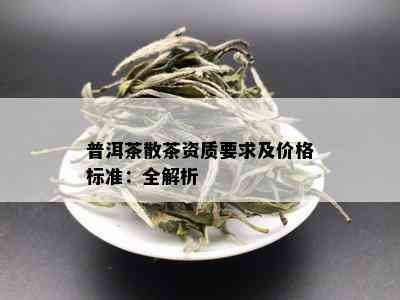 普洱茶散茶资质要求及价格标准：全解析