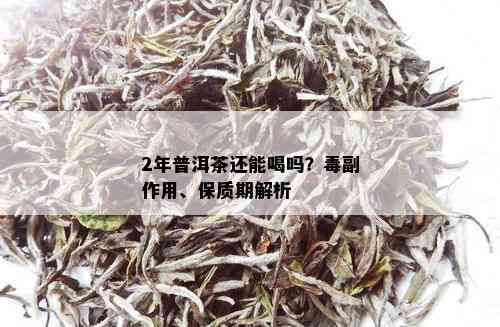 2年普洱茶还能喝吗？副作用、保质期解析