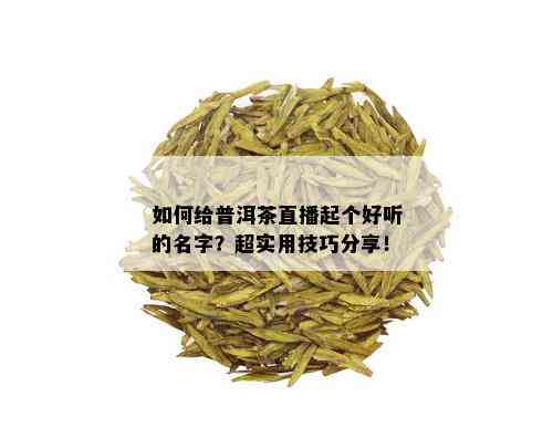 如何给普洱茶直播起个好听的名字？超实用技巧分享！