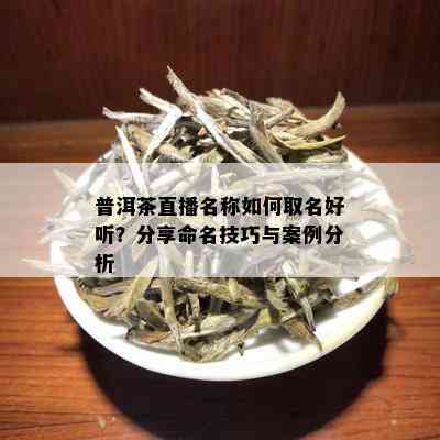 普洱茶直播名称如何取名好听？分享命名技巧与案例分析