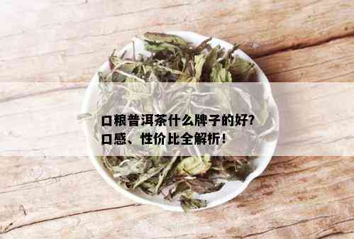 口粮普洱茶什么牌子的好？口感、性价比全解析！