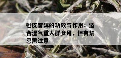 橙皮普洱的功效与作用：适合湿气重人群食用，但有禁忌需注意