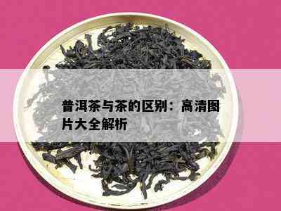 普洱茶与茶的区别：高清图片大全解析