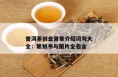 普洱茶创业背景介绍词句大全：策划书与图片全包含