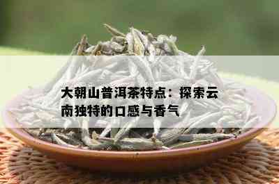 大朝山普洱茶特点：探索云南独特的口感与香气