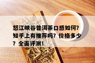 怒江峡谷普洱茶口感如何？知乎上有推荐吗？价格多少？全面评测！