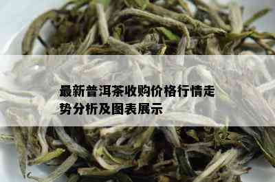 最新普洱茶收购价格行情走势分析及图表展示