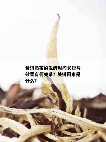 普洱熟茶的发酵时间长短与效果有何关系？关键因素是什么？