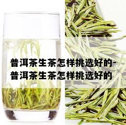 普洱茶生茶怎样挑选好的-普洱茶生茶怎样挑选好的