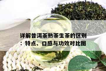 详解普洱茶熟茶生茶的区别：特点、口感与功效对比图