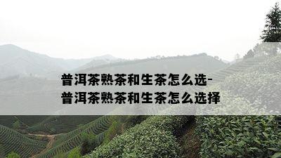 普洱茶熟茶和生茶怎么选-普洱茶熟茶和生茶怎么选择