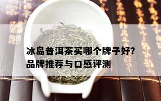 冰岛普洱茶买哪个牌子好？品牌推荐与口感评测