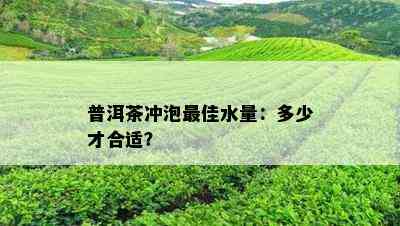 普洱茶冲泡更佳水量：多少才合适？