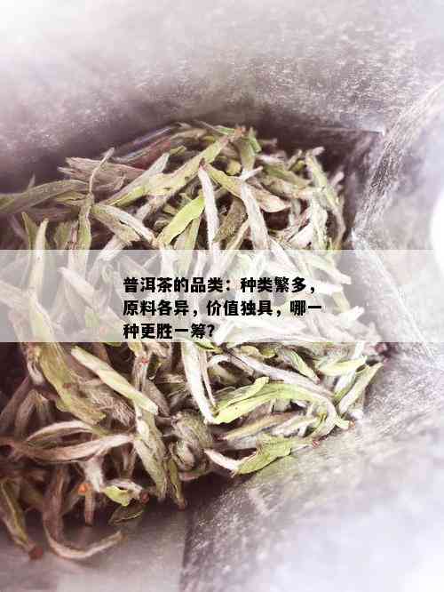 普洱茶的品类：种类繁多，原料各异，价值独具，哪一种更胜一筹？