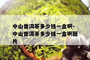 中山普洱茶多少钱一盒啊-中山普洱茶多少钱一盒啊图片