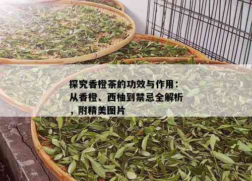 探究香橙茶的功效与作用：从香橙、西柚到禁忌全解析，附精美图片