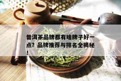 普洱茶品牌都有啥牌子好一点？品牌推荐与排名全揭秘！