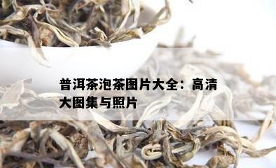 普洱茶泡茶图片大全：高清大图集与照片