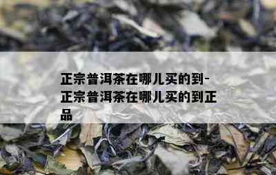 正宗普洱茶在哪儿买的到-正宗普洱茶在哪儿买的到正品