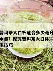 普洱茶大口杯适合多少毫升水量？探究普洱茶大口杯冲泡技巧