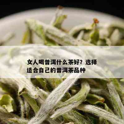 女人喝普洱什么茶好？选择适合自己的普洱茶品种