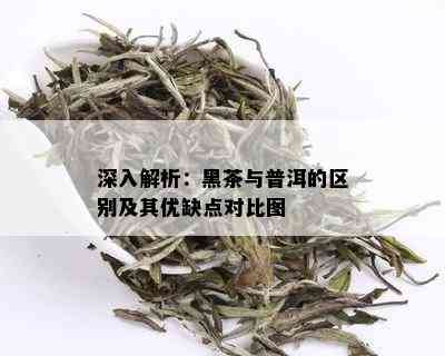 深入解析：黑茶与普洱的区别及其优缺点对比图