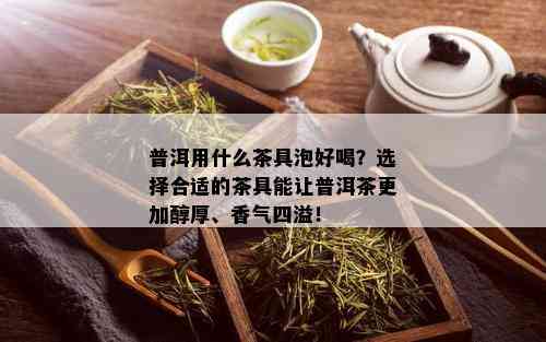 普洱用什么茶具泡好喝？选择合适的茶具能让普洱茶更加醇厚、香气四溢！