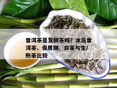 普洱茶是发酵茶吗？冰岛普洱茶、保质期、白茶与生/熟茶比较