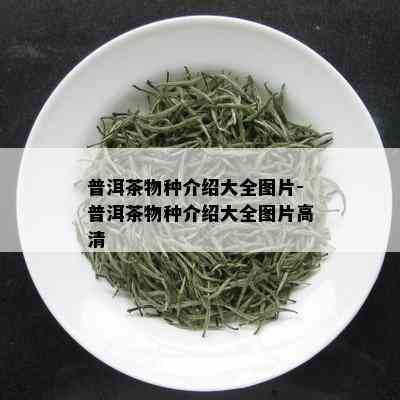 普洱茶物种介绍大全图片-普洱茶物种介绍大全图片高清