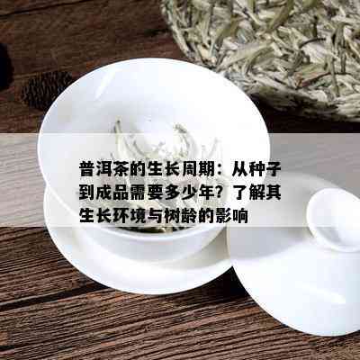 普洱茶的生长周期：从种子到成品需要多少年？了解其生长环境与树龄的影响