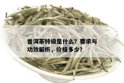 普洱茶特级是什么？要求与功效解析，价格多少？