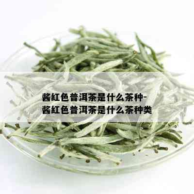 酱红色普洱茶是什么茶种-酱红色普洱茶是什么茶种类