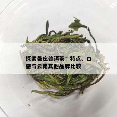 探索曼庄普洱茶：特点、口感与云南其他品牌比较