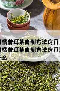 柑橘普洱茶自制方法窍门-柑橘普洱茶自制方法窍门是什么