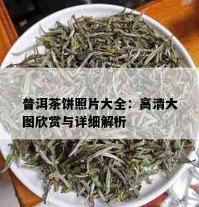 普洱茶饼照片大全：高清大图欣赏与详细解析