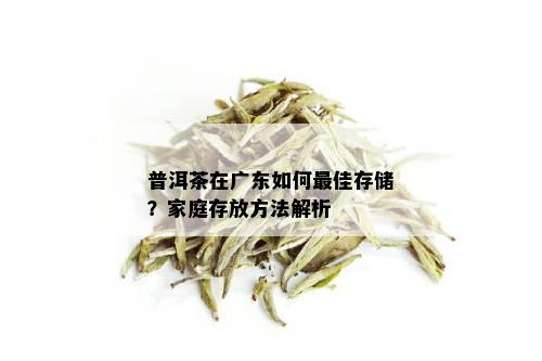 普洱茶在广东如何更佳存储？家庭存放方法解析