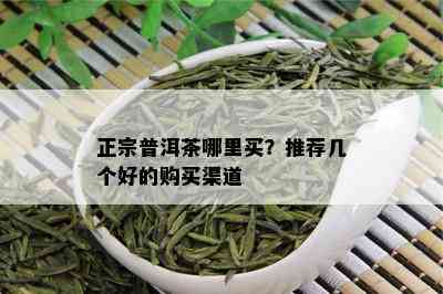 正宗普洱茶哪里买？推荐几个好的购买渠道