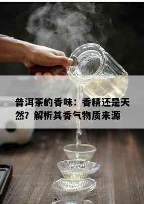 普洱茶的香味：香精还是天然？解析其香气物质来源