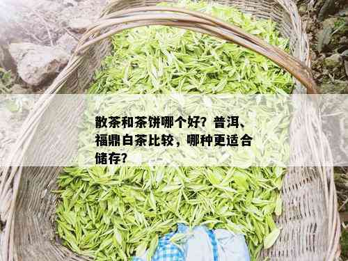 散茶和茶饼哪个好？普洱、福鼎白茶比较，哪种更适合储存？