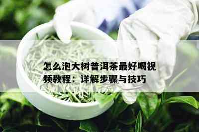 怎么泡大树普洱茶更好喝视频教程：详解步骤与技巧