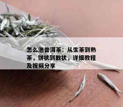 怎么泡普洱茶：从生茶到熟茶，饼状到散状，详细教程及视频分享