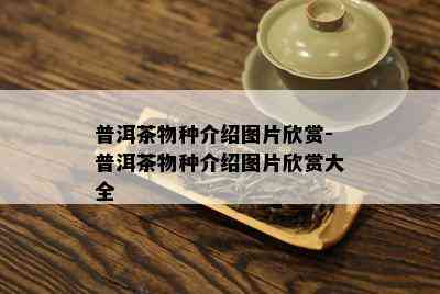 普洱茶物种介绍图片欣赏-普洱茶物种介绍图片欣赏大全