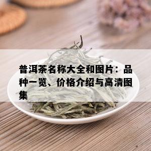 普洱茶名称大全和图片：品种一览、价格介绍与高清图集