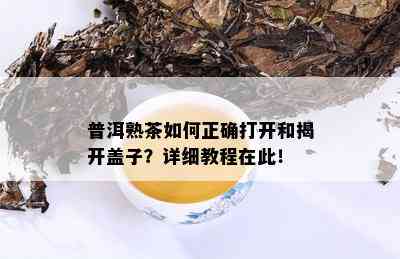 普洱熟茶如何正确打开和揭开盖子？详细教程在此！