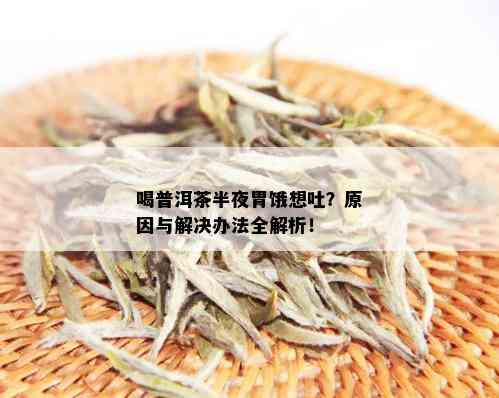 喝普洱茶半夜胃饿想吐？原因与解决办法全解析！