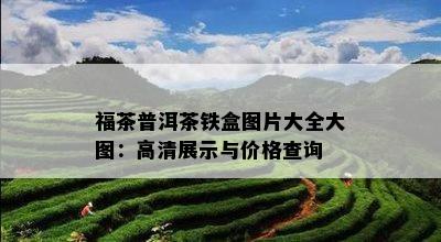 福茶普洱茶铁盒图片大全大图：高清展示与价格查询